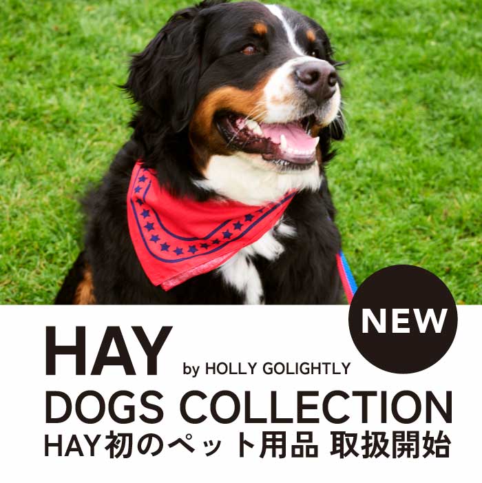 HAYDOGSCP